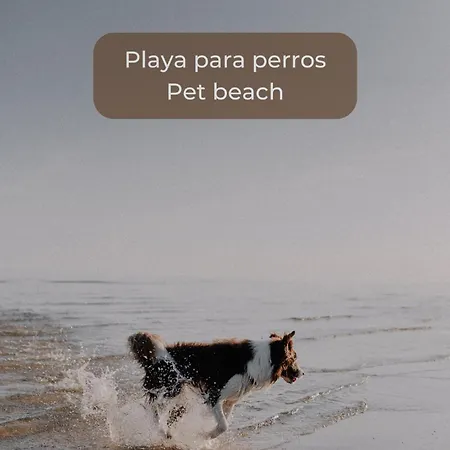 Chocolate Brownie Piscina, Terraza, Planta Baja, Parking Y Wifi Apartment *